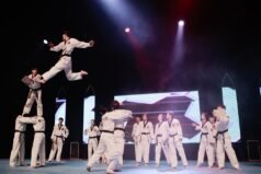 태권도 "K-TIGERS"